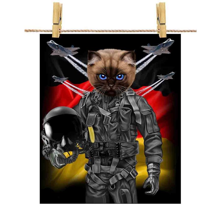 猫 a4 価格の安いMIX猫♂（父：サイベリアン×母：ノルウェージャン