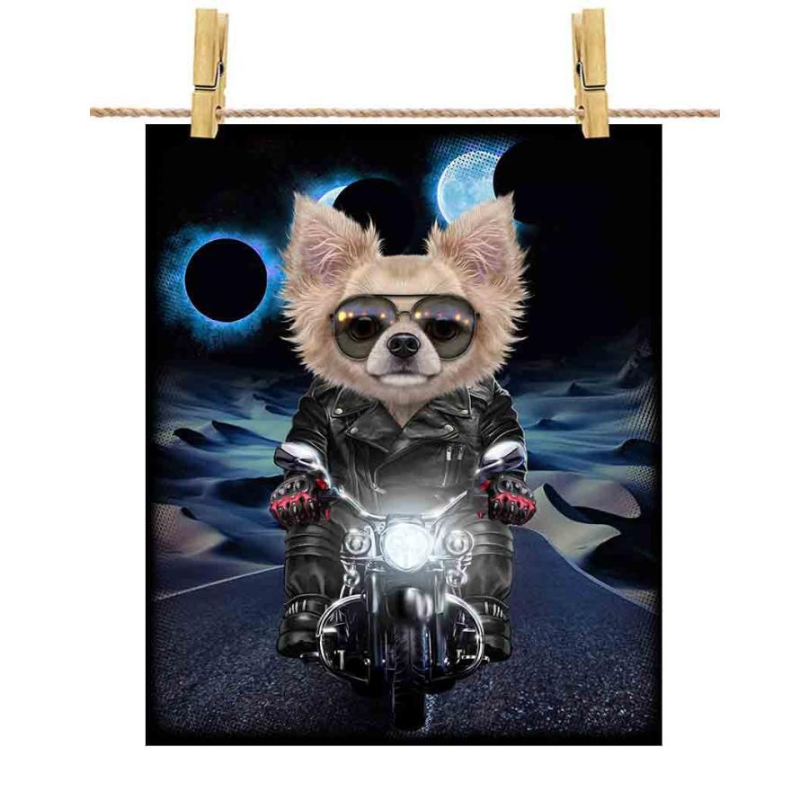チワワ ドッグ 犬 いぬ バイク 月 ポスター サイズ By Fox Republic Poster Dog Chi 32 Fox Republic 通販 Yahoo ショッピング