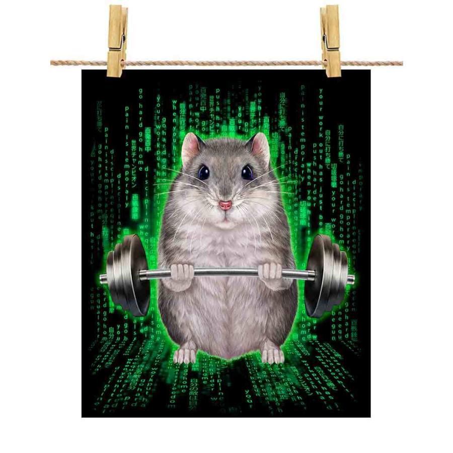 リピーター☘️ハムやん様20:20 Amazon | マルカン RH-201 ほっとハム暖ドームヒーター