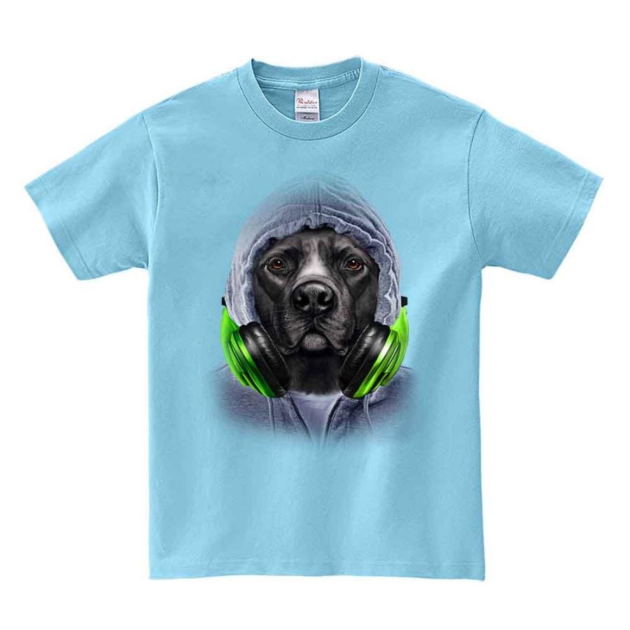 ピットブル・ヒップホップ・ラッパー】メンズ 半袖 Tシャツ : FOX 
