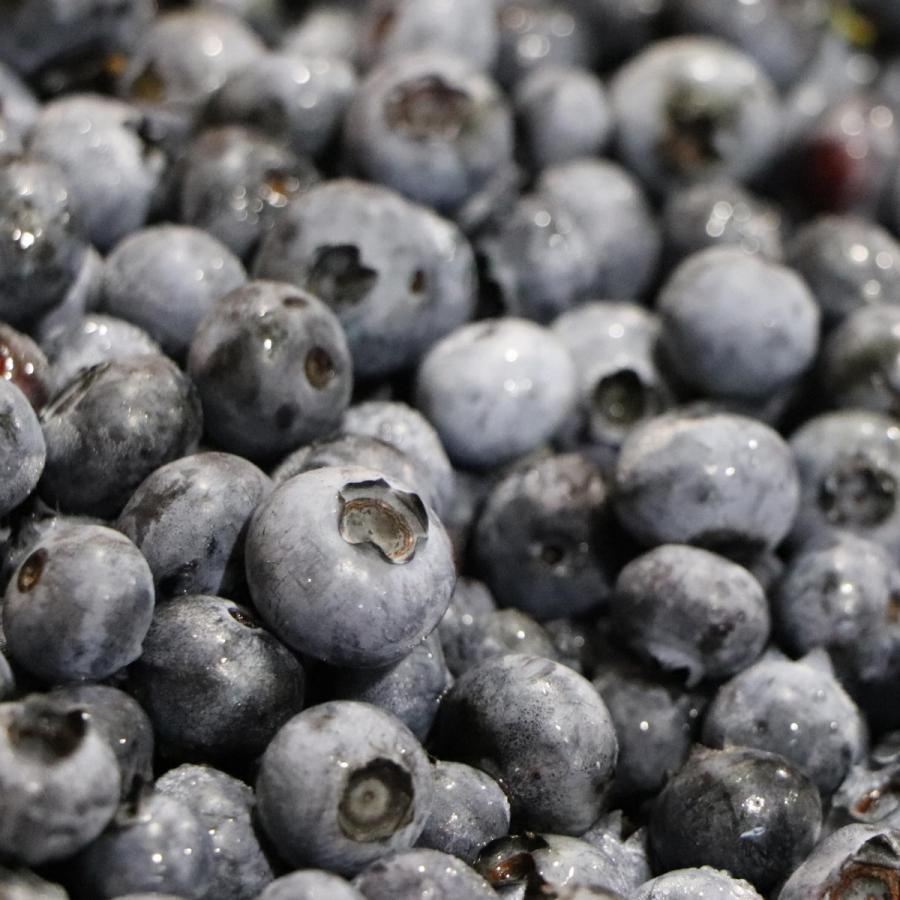 ブルーベリー ジャム 内容量 32g 信州産 ペクチン 保存料 着色料 無添加 Bs032 ジャム工房 狐の香り Yahoo 店 通販 Yahoo ショッピング