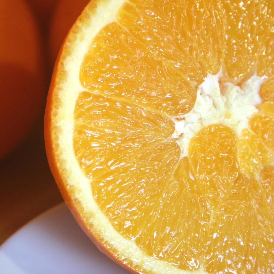 ネーブルオレンジマーマレード 132g 皇室献上みかん園 ペクチン 保存料 着色料 無添加 Ons132 ジャム工房 狐の香り Yahoo 店 通販 Yahoo ショッピング