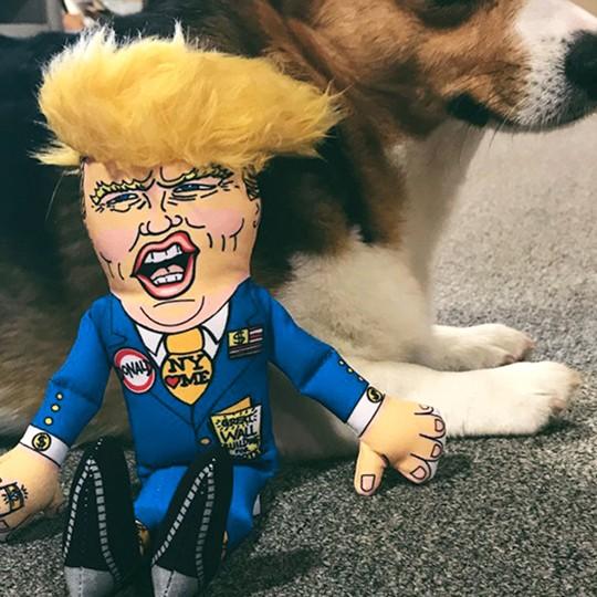 Sale トランプ大統領 犬用 ぬいぐるみ おもちゃ Sサイズ Donald Trump Plush For Small Dog 小型犬 中型 犬 U Fzzu 002 Foyl Yahoo ショッピング店 通販 Yahoo ショッピング