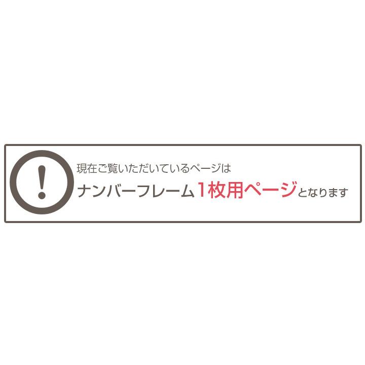 【単品】ナンバーフレーム ナンバープレート クローム シルバーメッキ 1枚 ナンバー シルバー メッキ ブラック 交換 買い替え｜fpj-mat｜06