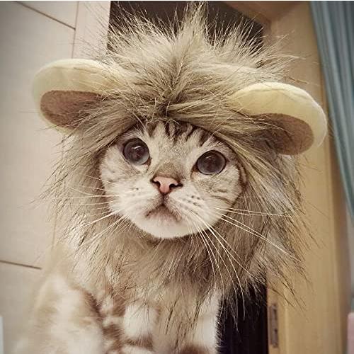 Petleso 猫被り物 猫用帽子 猫 ライオン ウィッグ 変身 かぶりもの グッズ S A B075dtsd6z Fr Online 通販 Yahoo ショッピング