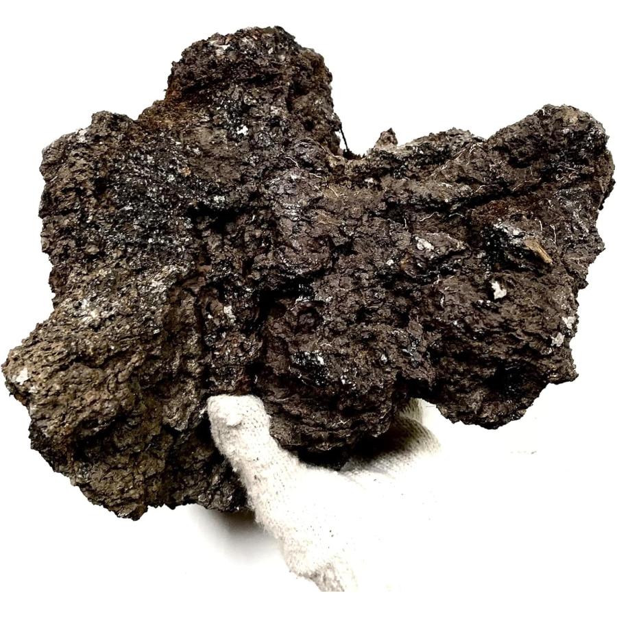 溶岩石 (高濾過) 50-150mm5Kg 親石付 盆栽 花壇 水槽 金魚 水草