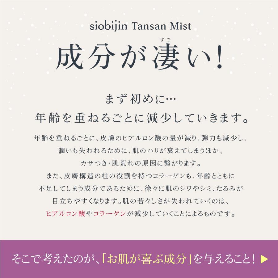 炭酸の力で美容成分を角質層までぐんぐん浸透させる