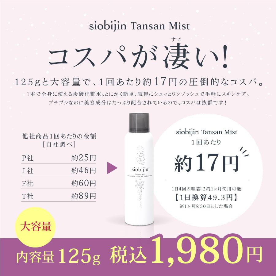 化粧水 スプレー式 3本 炭酸化粧水 乳酸菌入り 保湿 炭酸ミスト 導入