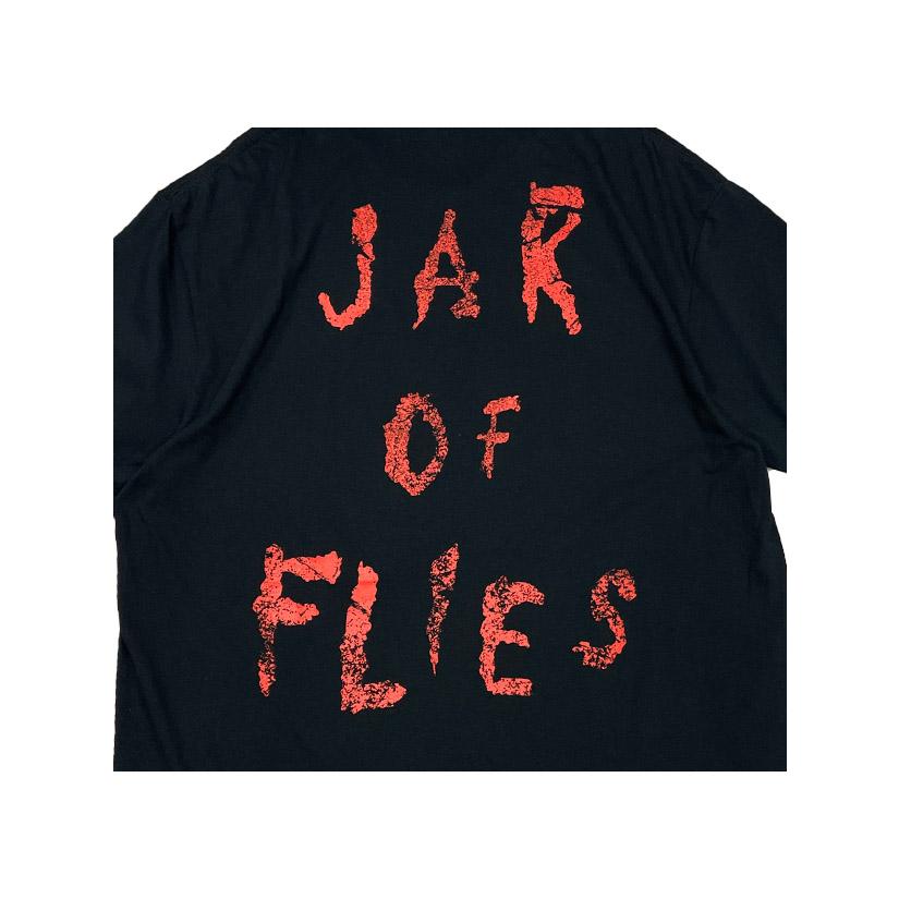 バンドTシャツ ALICE IN CHAINS / JAR OF FLIES F&B アリス イン 