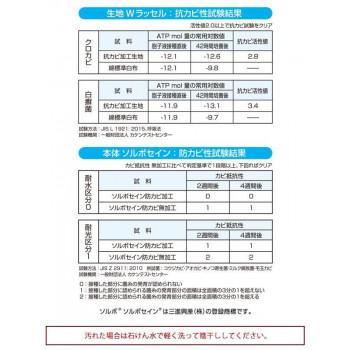 DSISソルボヘルシー 抗カビ+ ベージュ 日本製　3S(22.0〜22.5cm)・61746｜fragileya｜03
