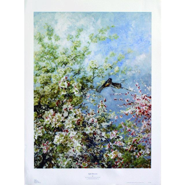 人気満点 Blossomes】 フレーム付　【Apple ポスター アート Artist/Olga ） 既製サイズ Size/967×715mm（ Floaian Wisinger ポスター