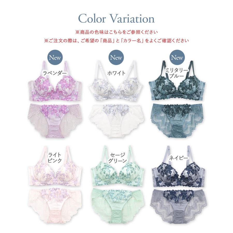 ノンワイヤーブラ セット ブラジャー ショーツ レディース 下着 ノンワイヤーブラ セット ブラジャー ショーツ レディース 下着
