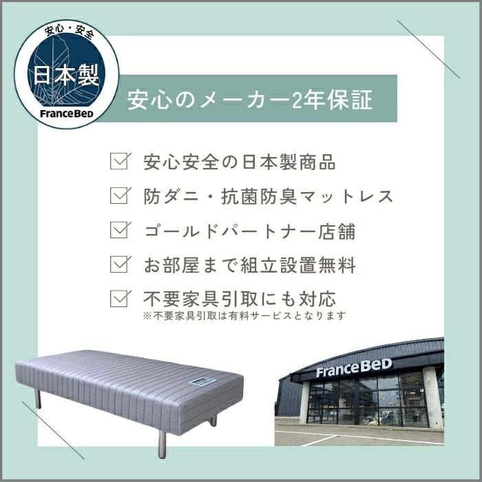 フランスベッド（FRANCEBED） マットレス EF-マルチハード シングル 