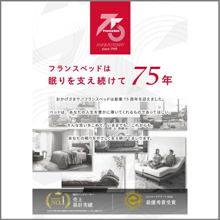 フランスベッド（FRANCEBED） マットレス HS-EC190 ダブル【搬入開梱
