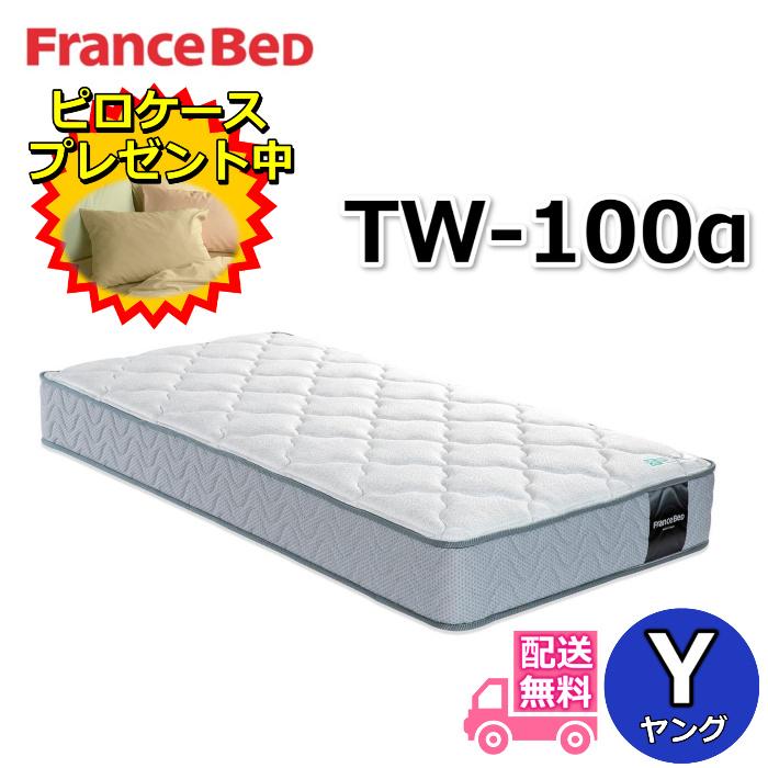 フランスベッド（FRANCEBED） TW-100α 【大特価＆ピロケースプレゼント 
