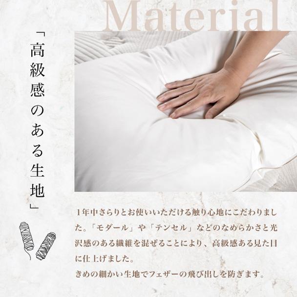 フランスベッド 正規品 枕 まくら ピロー 高級 ホテル ツイン フランスベッド 正規品 枕 まくら ピロー 高級 ホテル ツイン