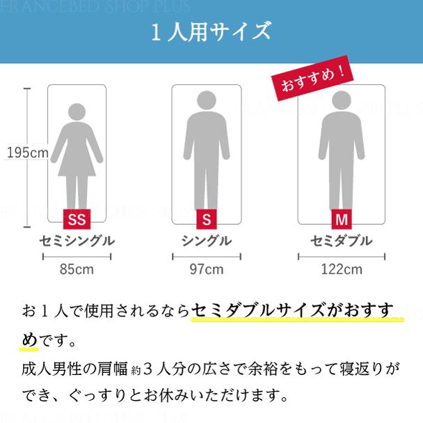 フランスベッド 【1番人気】 正規品 ベッドフレーム 高級 フランスベッド 【1番人気】 正規品 ベッドフレーム 高級