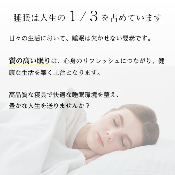 フランスベッド 正規品 電動ベッドフレーム レザーベッド IQベッド アシュフォード セミダブル レッグタイプ｜francebed-shop｜05