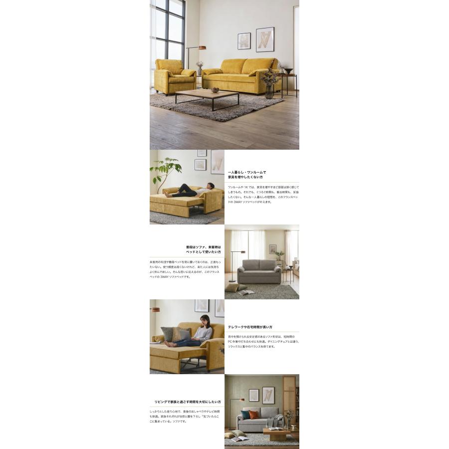 フランスベッド（FRANCEBED） 正規品 ソファーベッド ソファベッド