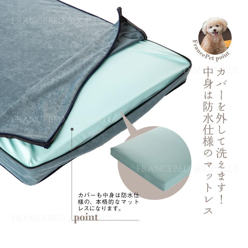 【PT+5%】フランスペット ペットマット コージーイン Sサイズの画像
