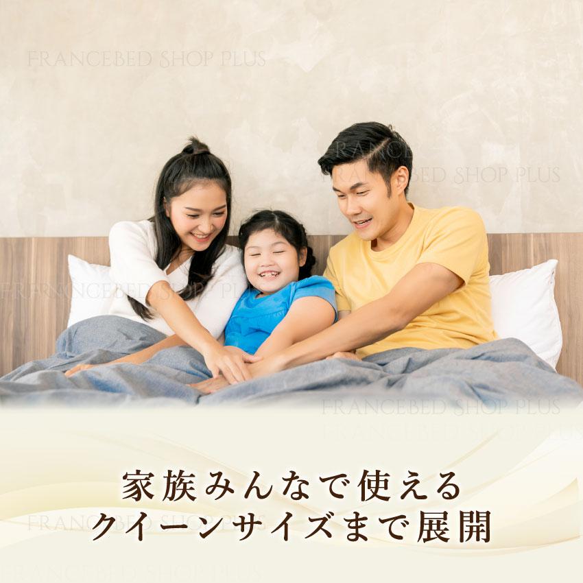 フランスベッド（FRANCEBED） 【6/27 PT+3%】フランスベッド 正規品