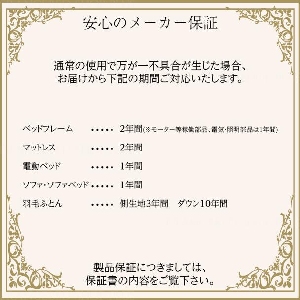 フランスベッド（FRANCEBED） 【ポイント＋5％】在庫限り 正規品