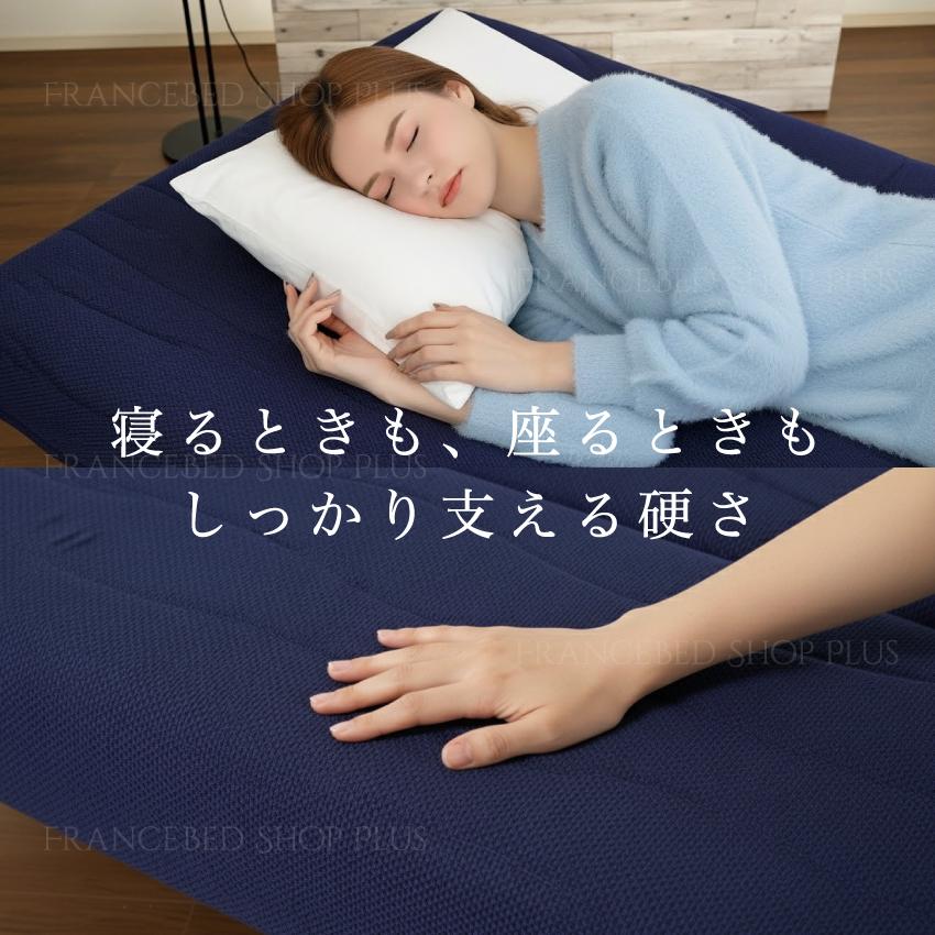 France Bed フランスベッド スイミーAg ショート ライトブルー フランスベッド（FRANCEBED） 【PT最大22%還元】フランスベッド 正規品