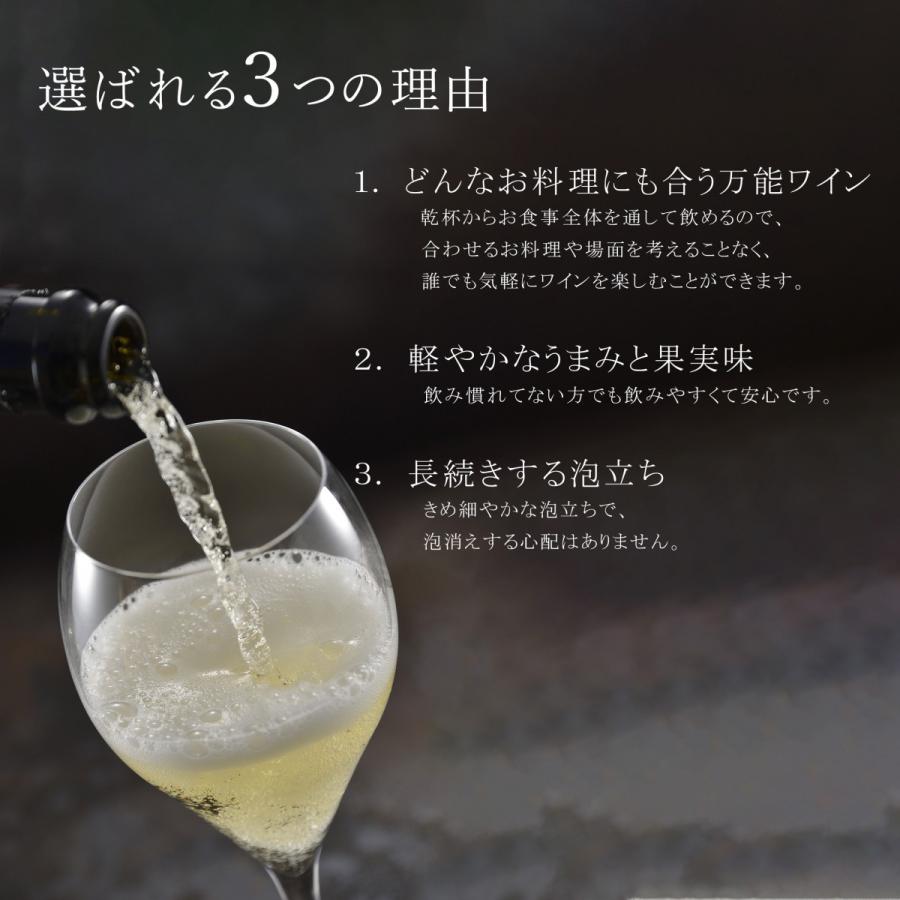 フランチャコルタ ブリュット ナトゥール NV  スパークリングワイン イタリア ブレダソーレ｜franciacorta｜03