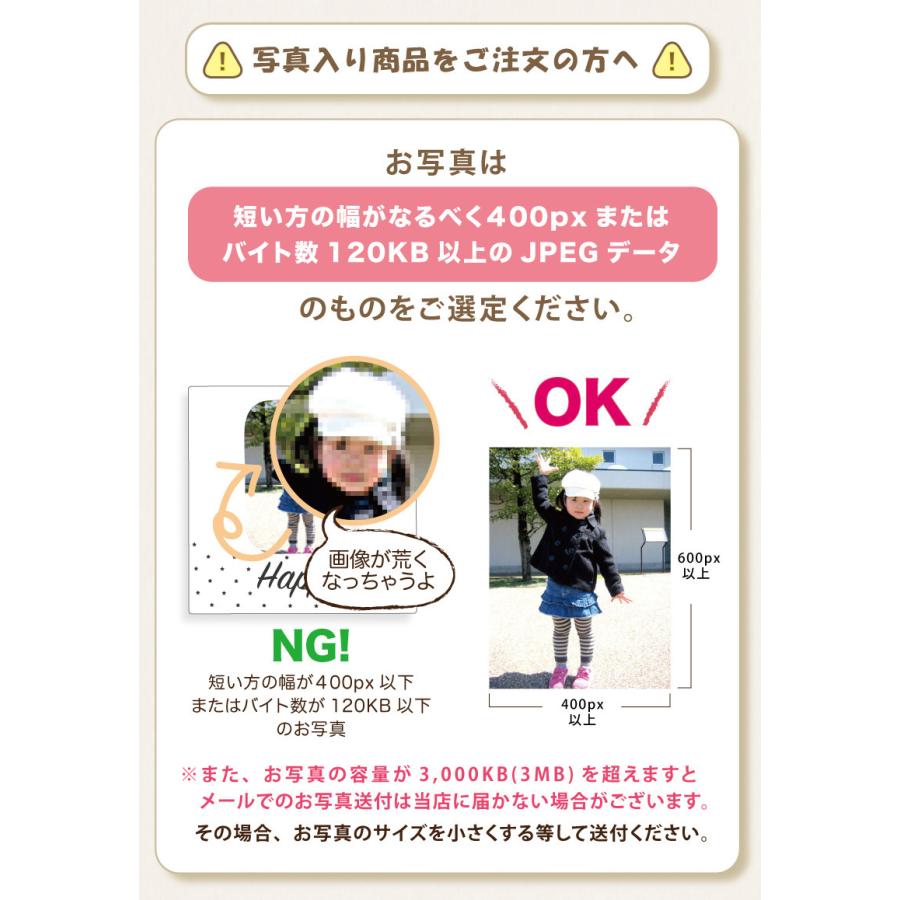 写真入り プレゼント 写真入りソフトケース メッセージ 名入れ 名前入り ペンケース 誕生日 化粧ポーチ 小物入れ 文具 筆箱 ギフト オリジナル ソフトケース |  | 18