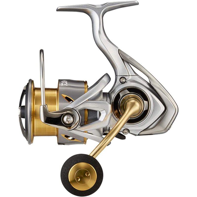 ランキング上位のプレゼント ダイワ(DAIWA) 21 フリームス LT4000-C