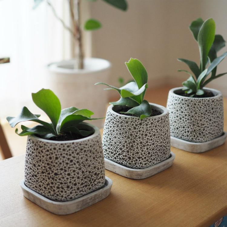 植木鉢・おしゃれ・テラコッタ コンクリートポット CC033-145 5号(14.5 