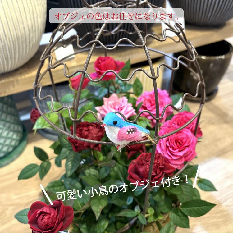 送料無料) コルダーナローズ 鳥カゴアレンジ ミニ薔薇の寄せ植え