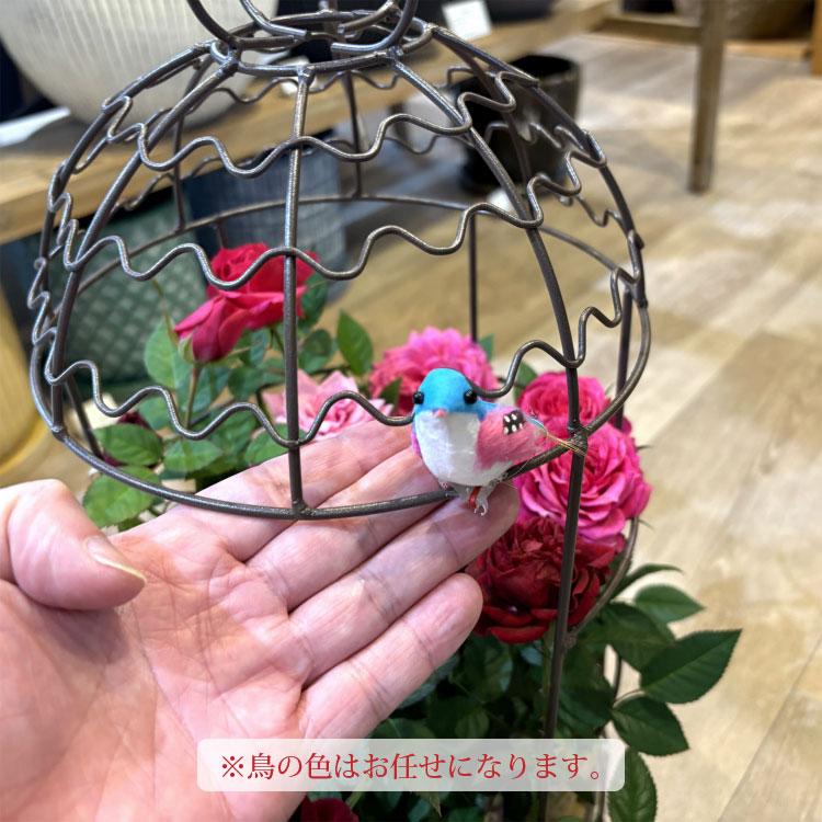 送料無料) コルダーナローズ 鳥カゴアレンジ ミニ薔薇の寄せ植え