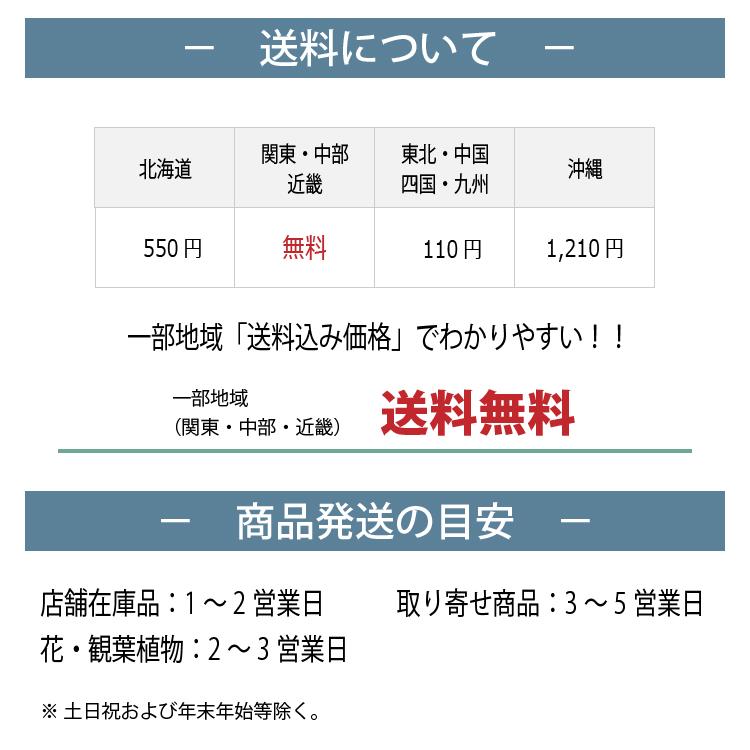 植木鉢・おしゃれ・テラコッタ グラスファイバーの鉢カバー MM309-380 13号(38cm) / 陶器鉢 大型 セメント 軽い 