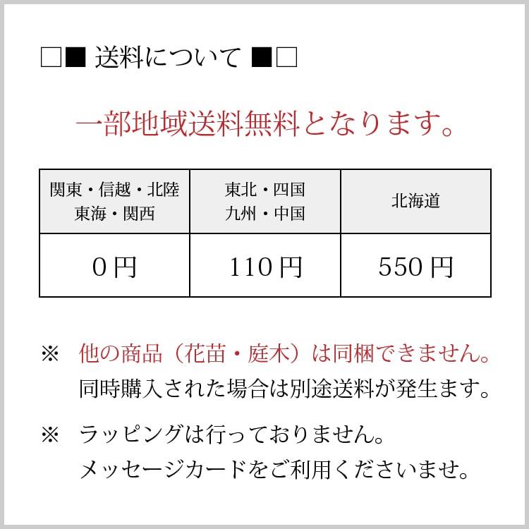 (一部地域送料無料) パッションフルーツ 苗 3号 4鉢セット 選べる品種 / エドゥリス・赤紫実・黄実・緑のカーテン｜frants｜13