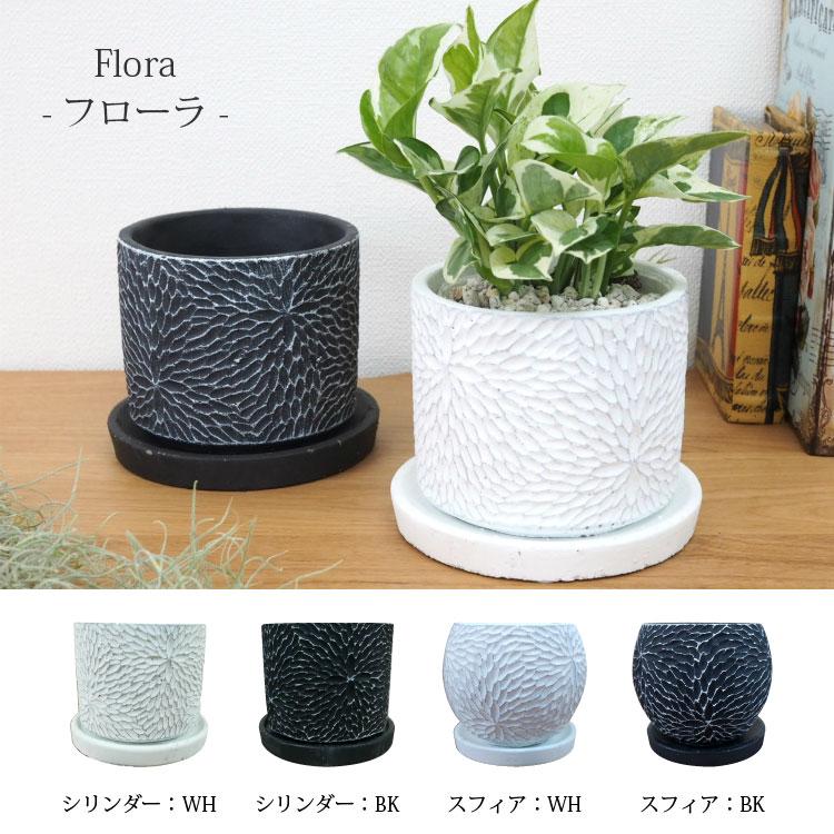 ✰観葉植物　バルーンポトス　片岡農園　お値下げ4月取り引き限定価格¥5.000 園芸ネット本店｜ポトス：グローバル 4号鉢入り 加藤農園オリジナル