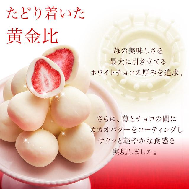 神戸フランツ お中元 2026 スイーツ 夏ギフト お菓子 チョコ イチゴ 苺