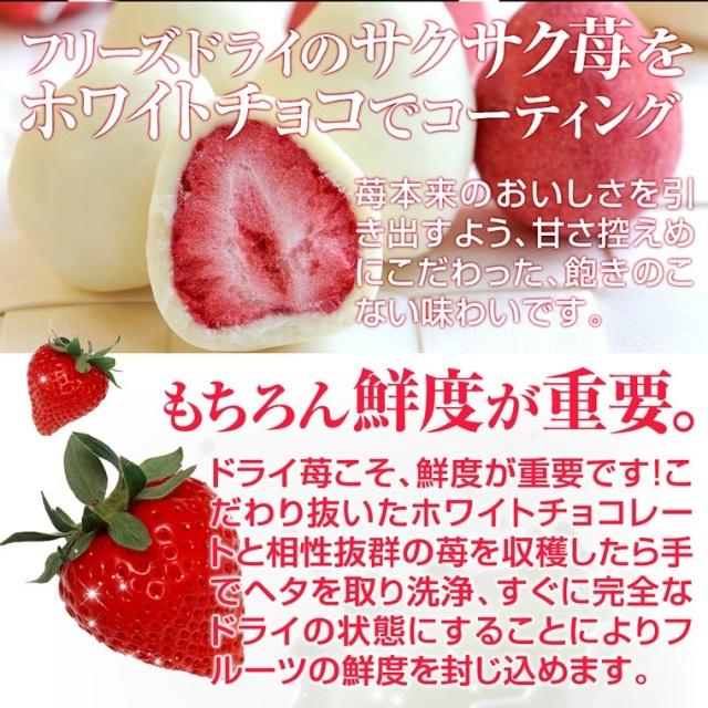 お中元 スイーツ お菓子 ギフト チョコ 洋菓子 チョコレート いちご イチゴ 苺トリュフアソート 誕生日 おしゃれ 高級 お取り寄せ | 神戸フランツ | 01