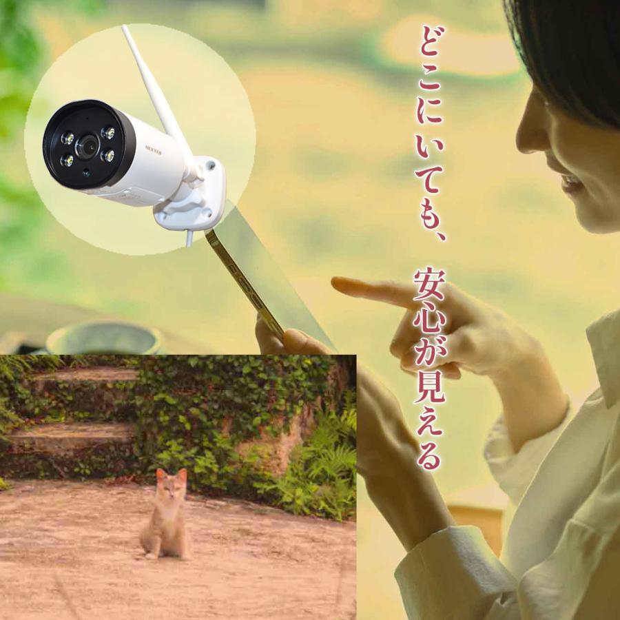 F.R.C. NEXTEC ネットワーク防犯カメラ NX-A31 (W) 300万画素 IP66