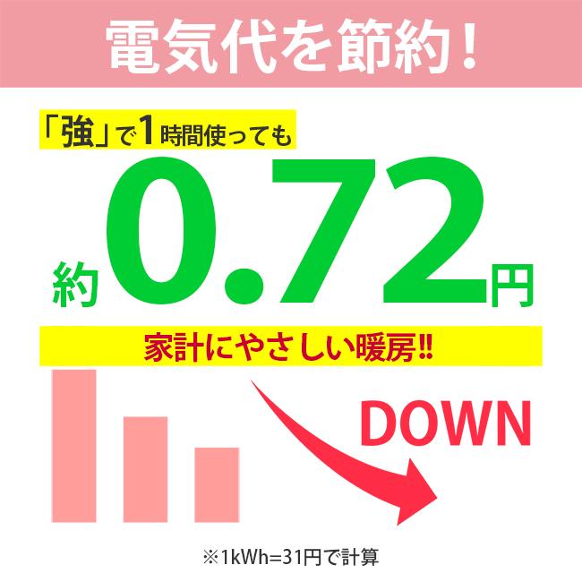 電気毛布 敷き 約130×80cm フランネル 洗える ダニ退治 無地 シングル 電気敷き毛布 FCA401シリーズ フリーダン｜frdm｜09