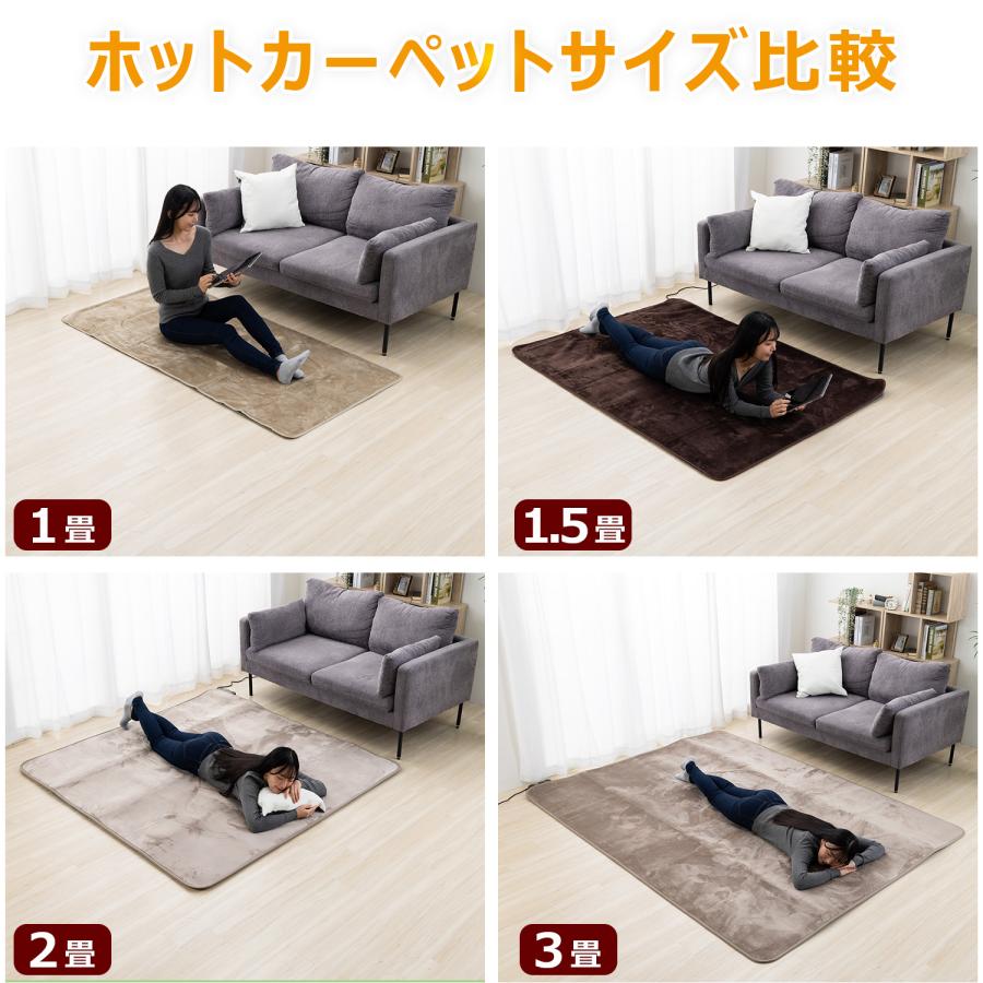 迅速発送！【新品・未開封】★３畳★ ホットカーペット本体 FREEDAN ホットカーペット 3畳 235×176 本体 長方形 電気