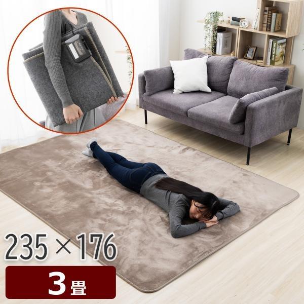 迅速発送！【新品・未開封】★３畳★ ホットカーペット本体 FREEDAN ホットカーペット 3畳 235×176 本体 長方形 電気