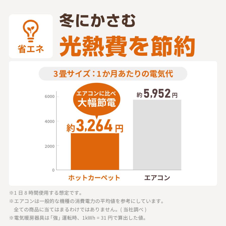 FREEDAN ホットカーペット 3畳 三畳 235×176 本体 長方形 電気