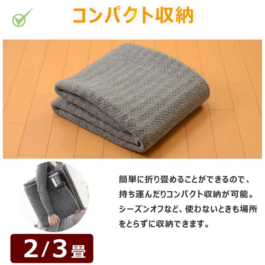FREEDAN ホットカーペット 3畳 235×176 本体 長方形 電気