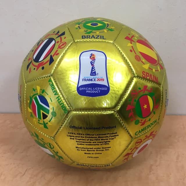 Fifa 女子ワールドカップ フランス 19 公式記念サッカーボール なでしこジャパン 0179 フリーク 通販 Yahoo ショッピング