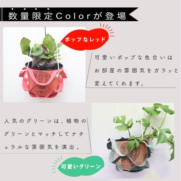 プラントハンガー プランターハンガー ポットハンガー 観葉植物
