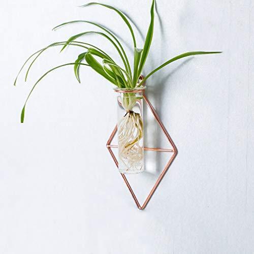 Baoyouni 壁掛け 花瓶 ミニ花器 ガラス製 透明 フラワーベース 一輪挿し 水栽培 試験管 ガラス管