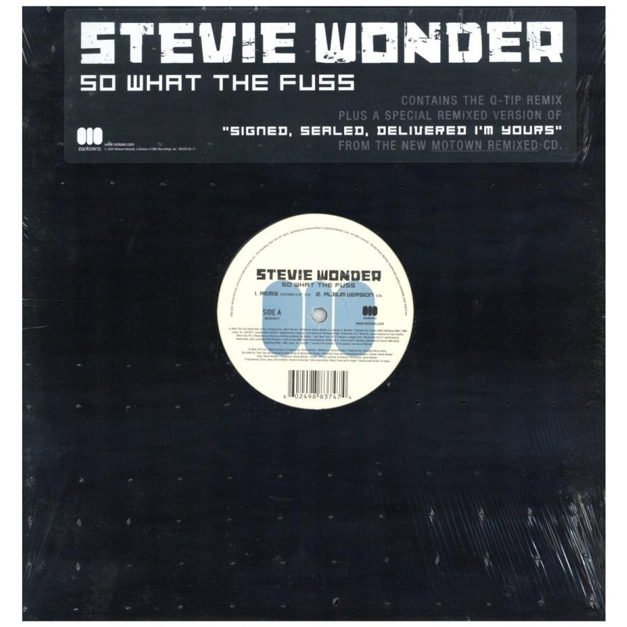 レコード】STEVIE WONDER feat Q-TIP - SO WHAT THE FUSS (REMIX