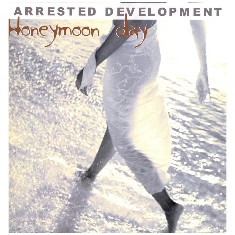 レコード】ARRESTED DEVELOPMENT - HONEYMOON DAY 12