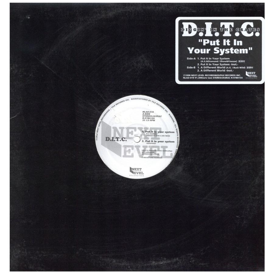レコード】D.I.T.C. - PUT IT IN YOUR SYSTEM / A DIFFERENT WORLD 12